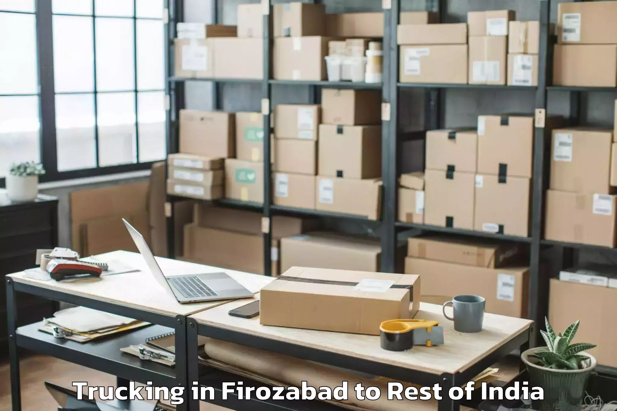 Quality Firozabad to Mebo Trucking